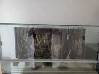 Terrarium z wyposażeniem dla gada duże