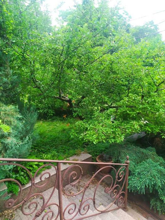 Продам дом с видом на море в Аркадии