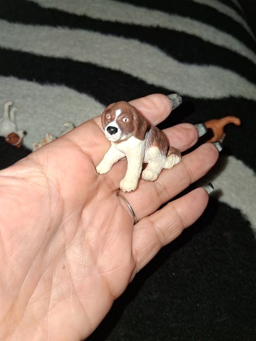 Coleção cães (12)