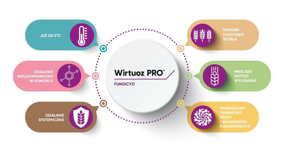 WIRTUOZ PRO 5L - Fungicyd