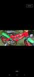 Rower 14 calowy Toimsa Jungle