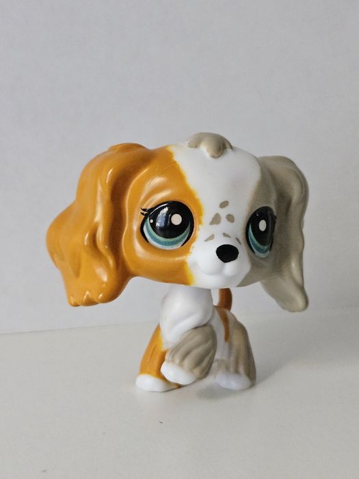 Cocker spaniel  LPS
