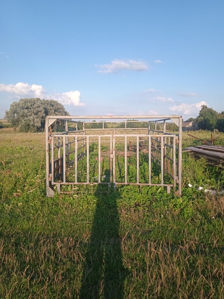 Клітка зіловська