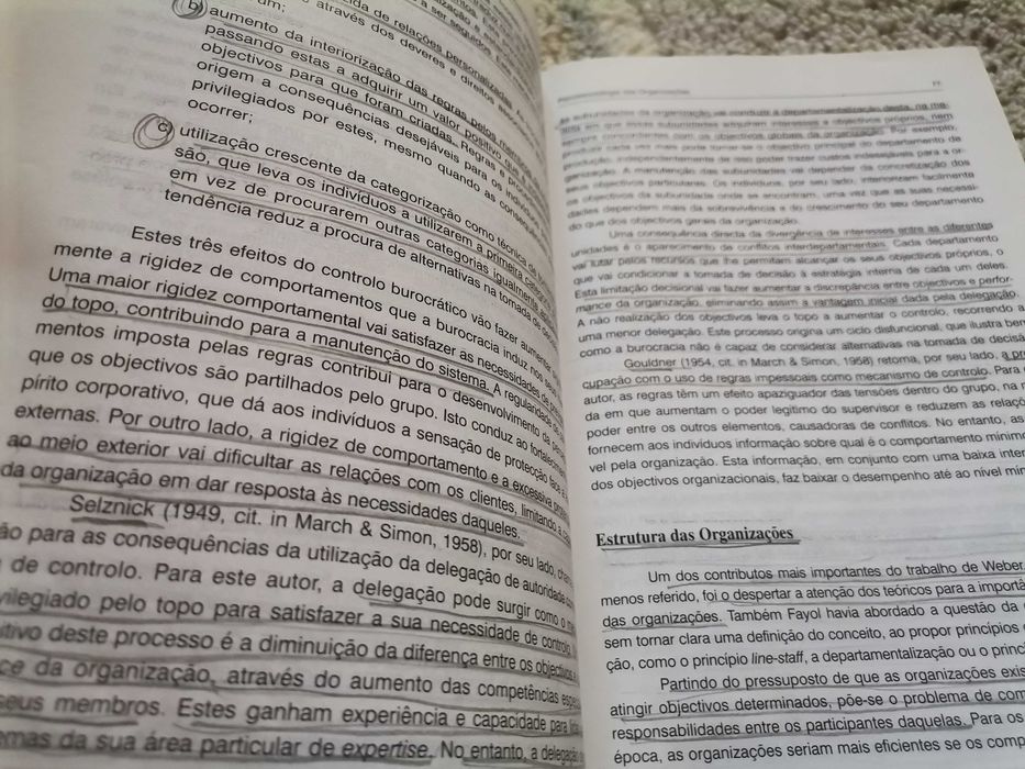 Psicossociologia das Organizações