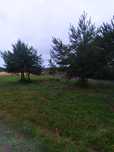 Dzialka w Sasinie,plaża,morze