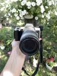 Плівковий фотоапарат minolta dynax 505 si
