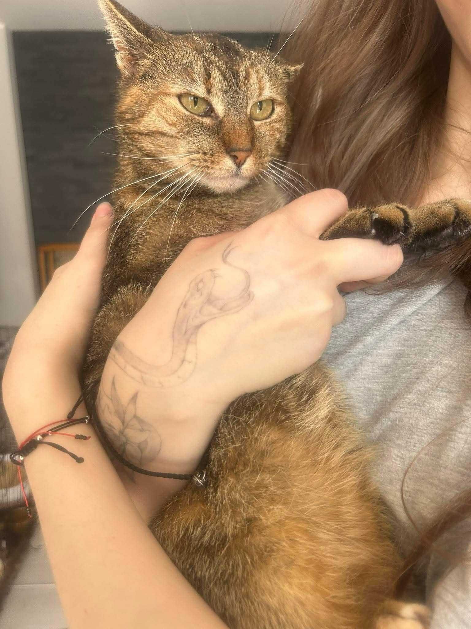 Śliczna Buba do adopcji