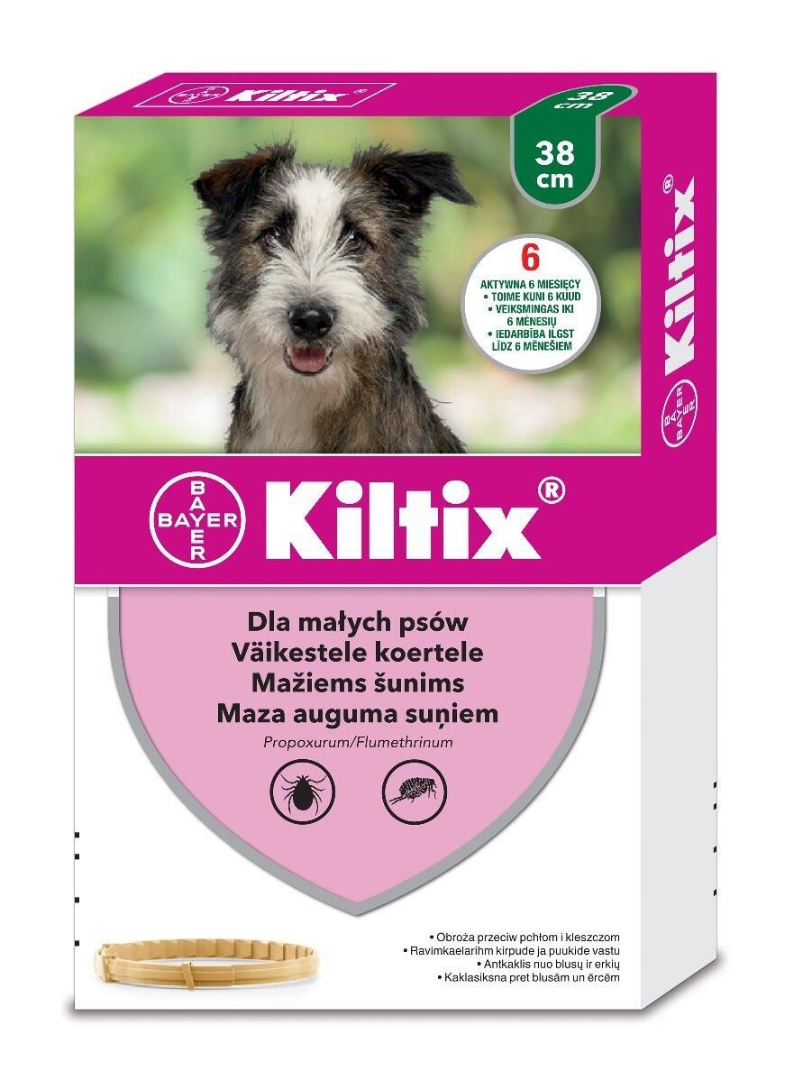 BAYER Kiltix Obroża dla małych psów 38 cm