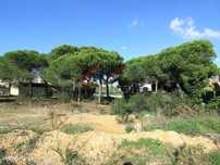 Terreno para construir - Varandas do Lago - Almancil