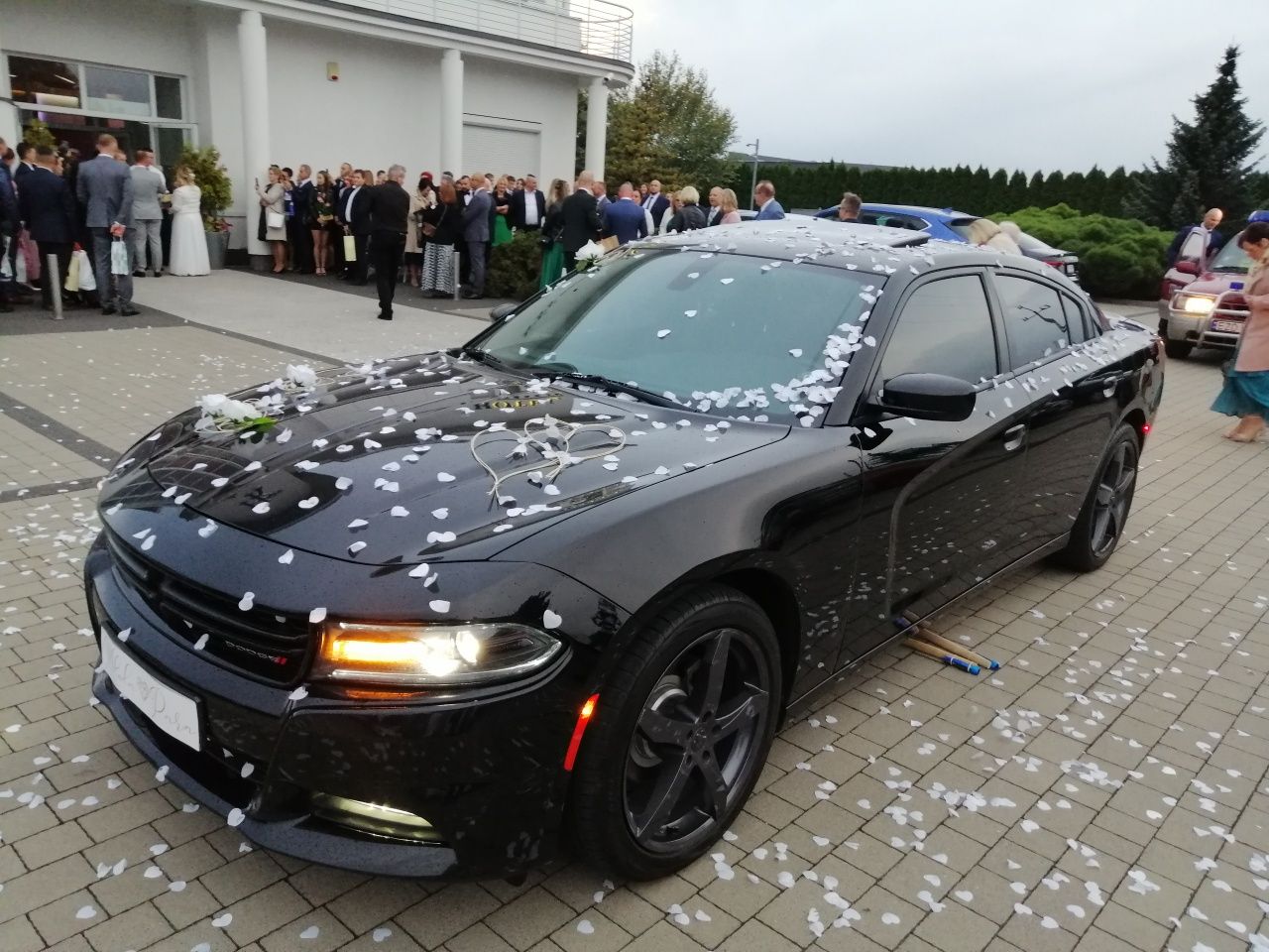 DODGE CHARGER auto do ślubu wesela