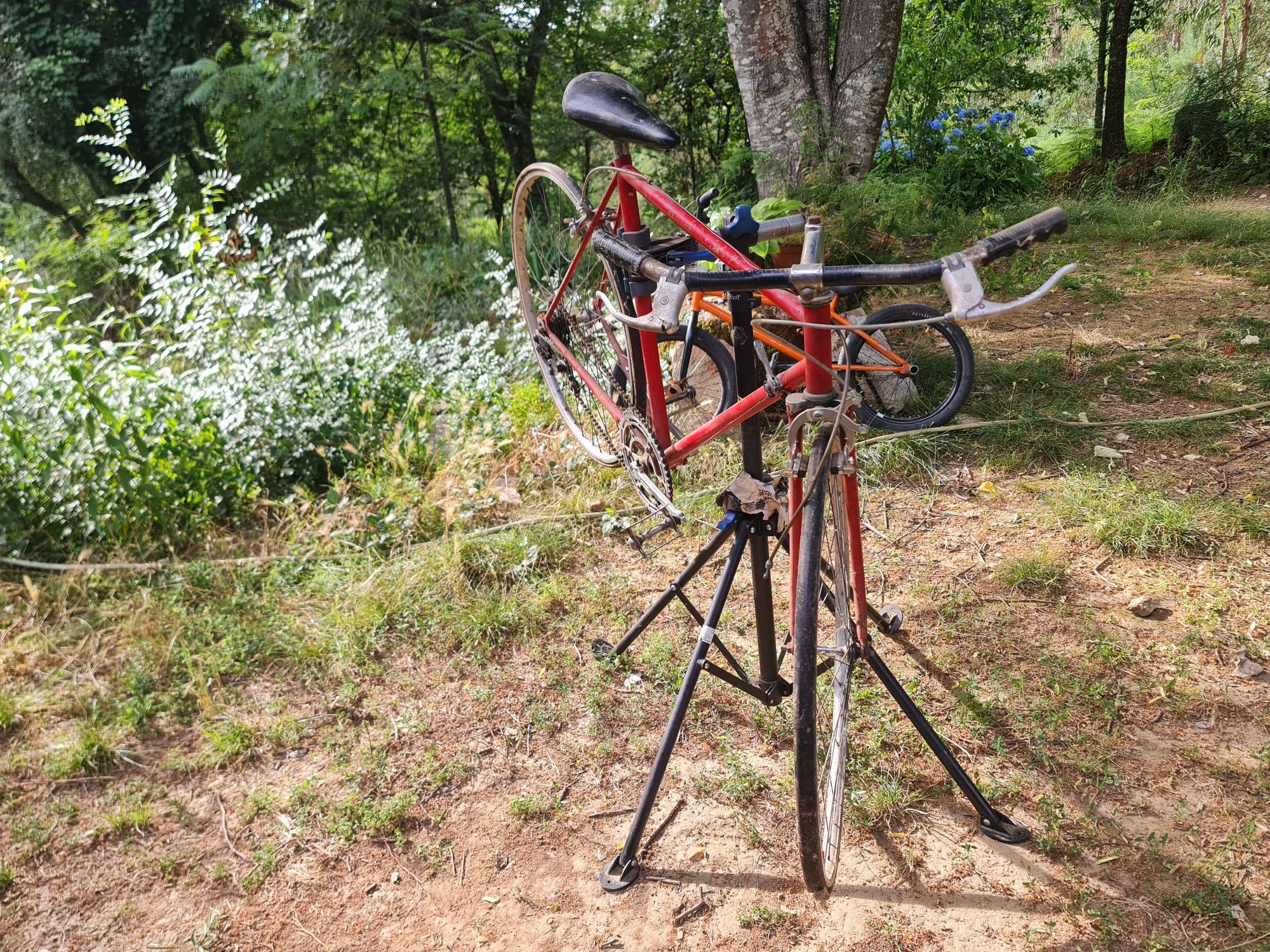 Bicicleta estrada antiga