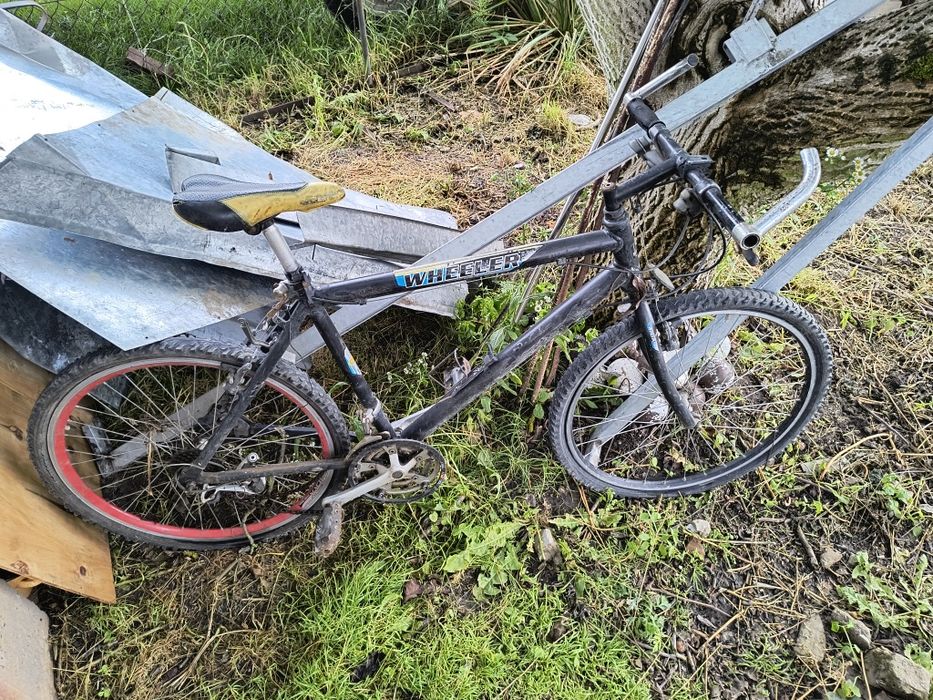 Rower górski niska cena