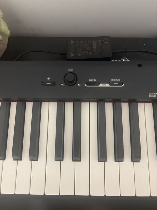 Teclado Casio CDP-S110
