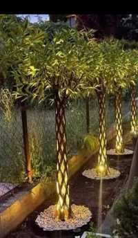 Wierzba pleciona 70zł duze drzewko ozdobne bonsai Polska palma