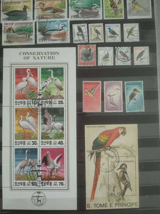 Selos temática Aves
