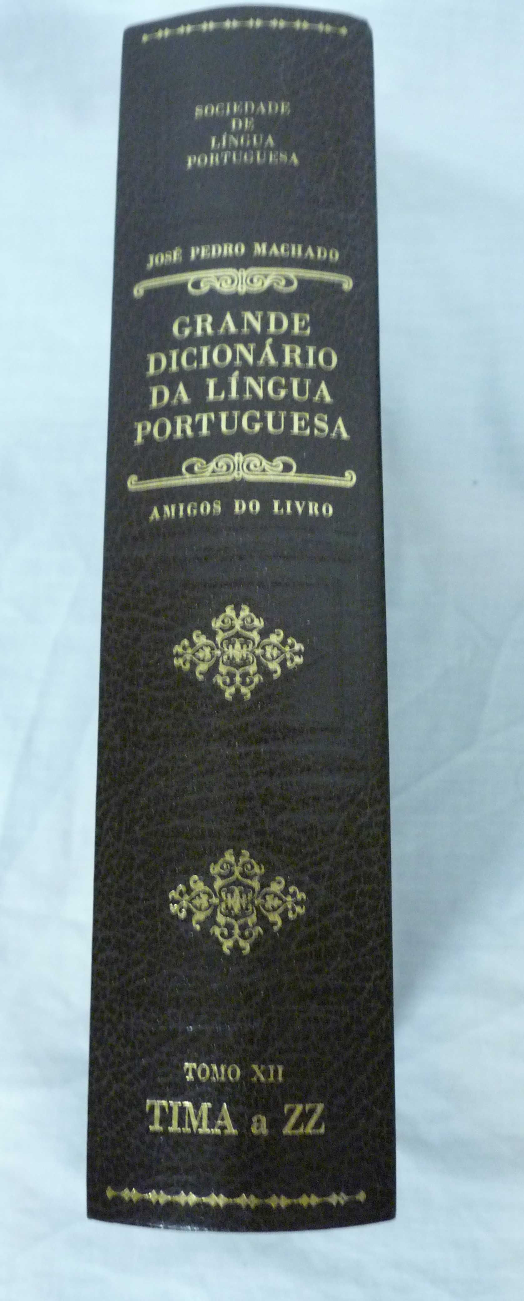 Grande Dicionário da Língua Portuguesa