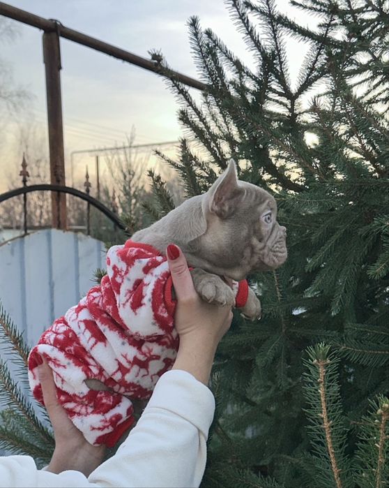 Міні хлопчик новотипний