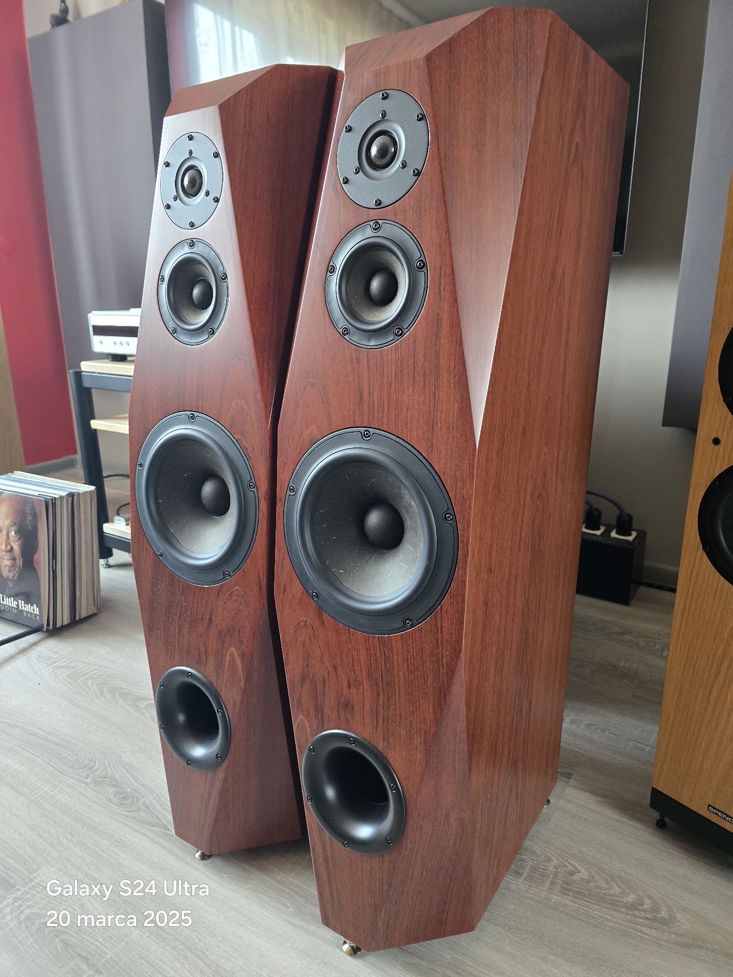 CNC AUDIO.  Vifa ne, morel, Diy