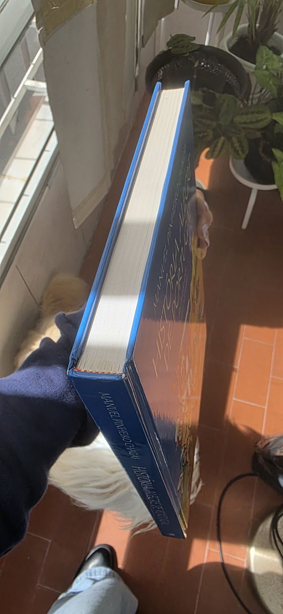 Livro História Alegre de Portugal