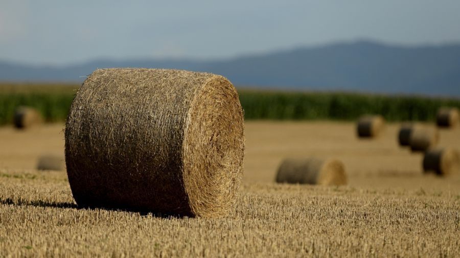 Słoma bele 150, pszenzyto, pszenica, żyto. Transport