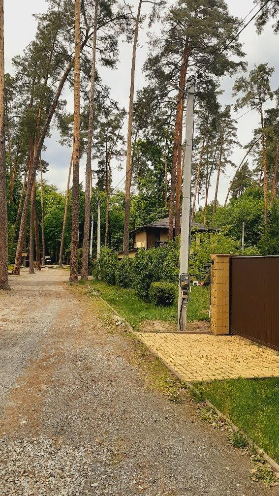 Продажа Дом Буча Лесная в окружении леса покупай и отдыхай.