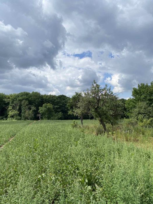 Будинок с. Шутроминці