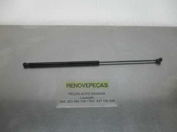 Amortecedor do capot VOLKSWAGEN Golf V (1K1)