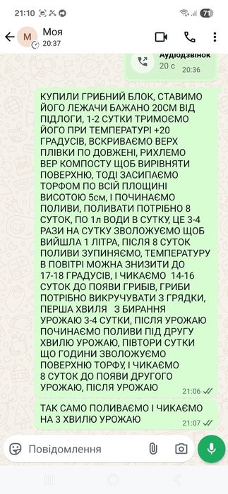 Грибний блок, Шампиньона, Печериці.