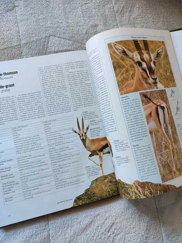 Livro: Vida Selvagem - Animais das Montanhas