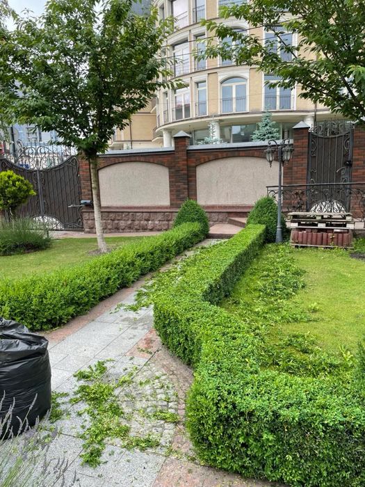 Ландшафтний дизайн,догляд,садівник,лікування,оброблення,сад,газон,мох