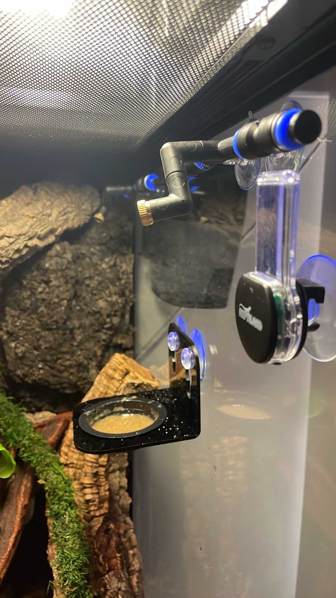 Terrarium Repti Planet z wyposażeniem (Bez gekona)