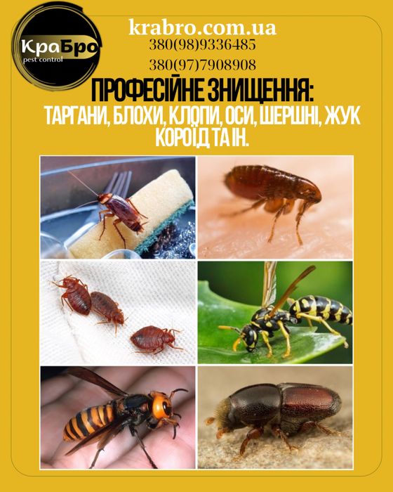 Таргани, клопи, оси, блохи, миші ін? Швидкий виїзд| Знищення шкідників