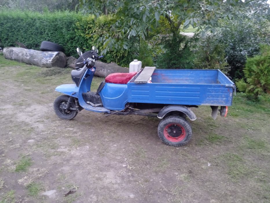 Муравей  в хорошому стані.