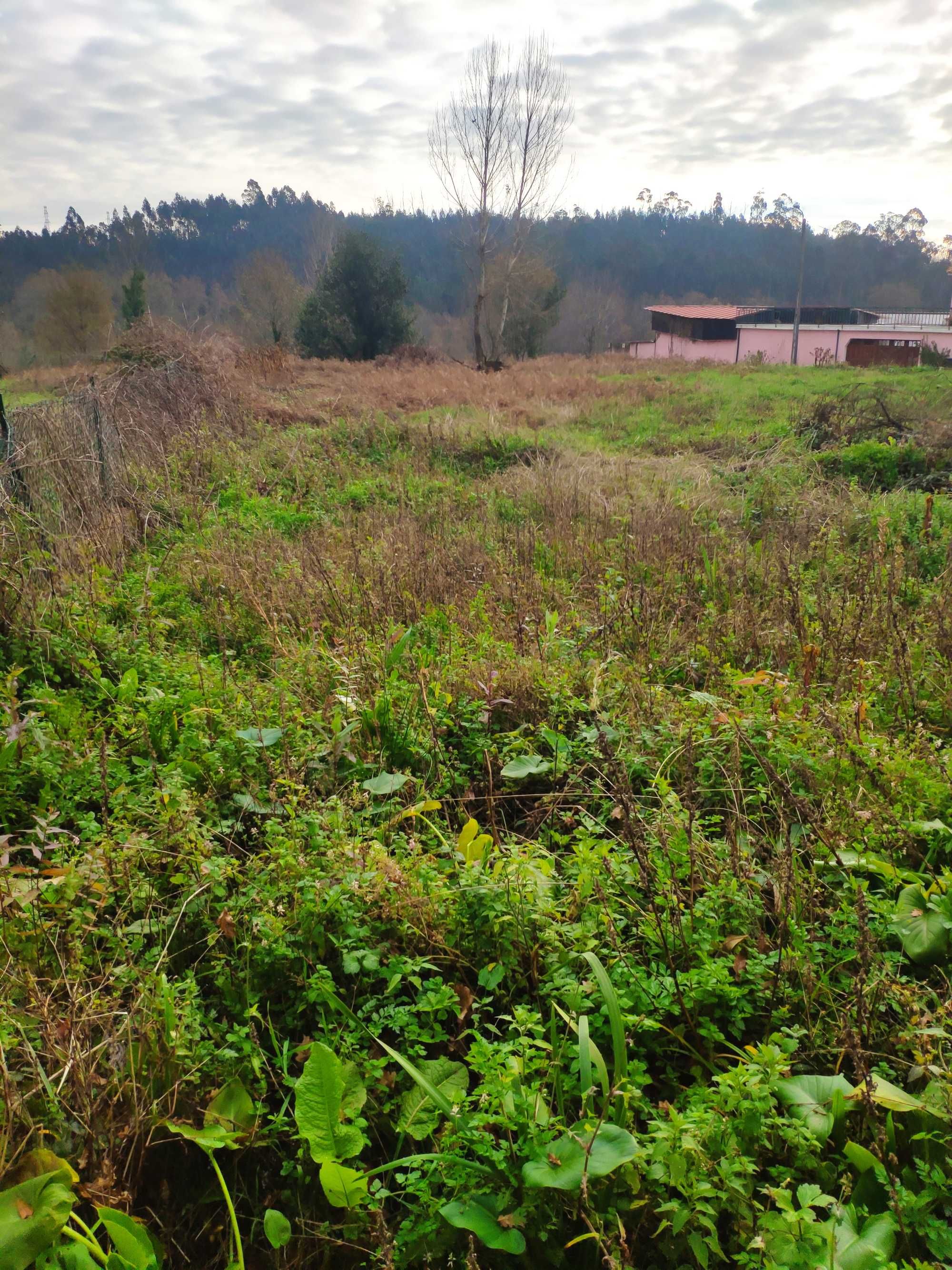 Terreno Construção 2182 m² - Parada de Gatim/Vila Verde