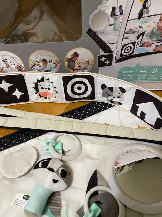 Розвиваючий килимок Tiny Love