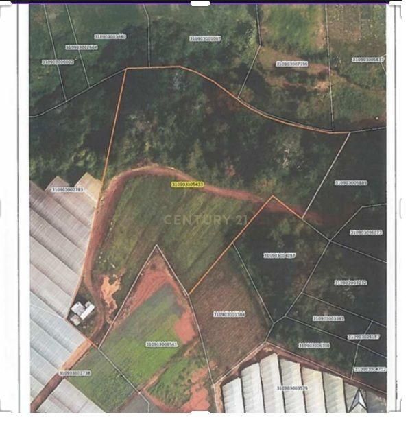 Terreno Rustico- Ideal para Projeto de Investimento