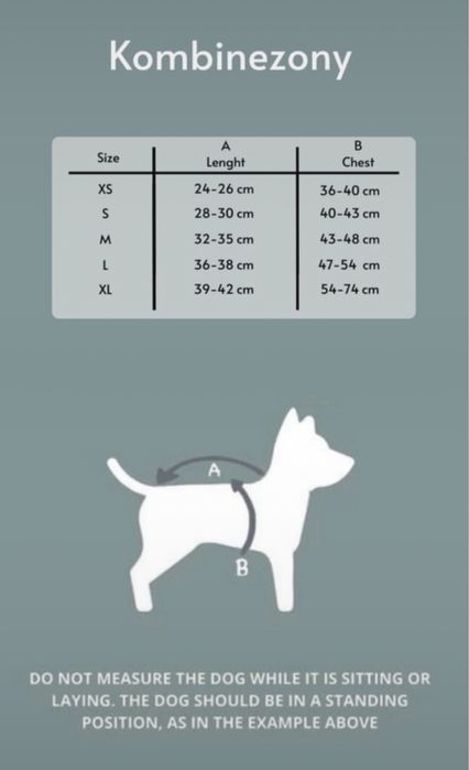 Zimowy kombinezon da psa, recznie szyty (szary, lilowy)