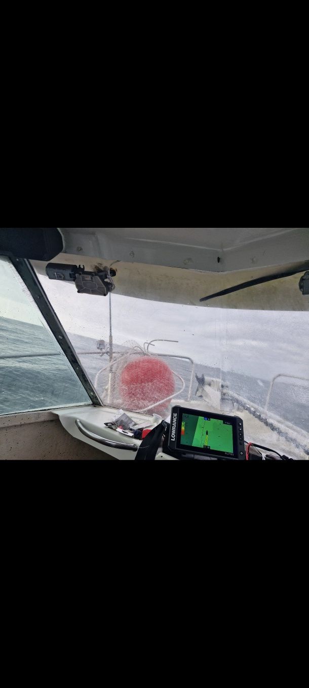Barco dell quay 560