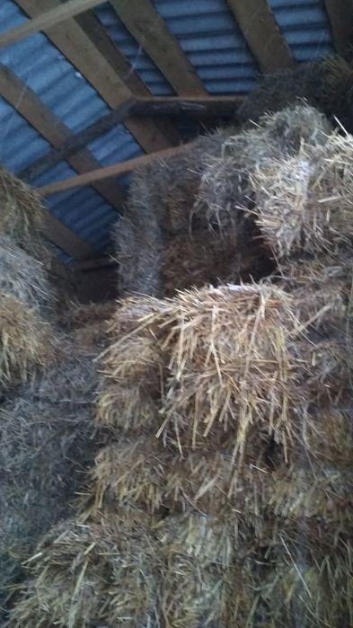 Продам Тюки Солома