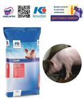Фініш для свиней, Коудайс, від 51кг, БМВД, Концентрат 10% (3640.100)