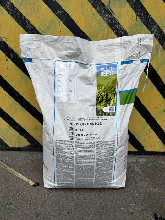 Насіння кукурудзи Сінгента Сі Чорінтос|Syngenta SY CHORINTOS