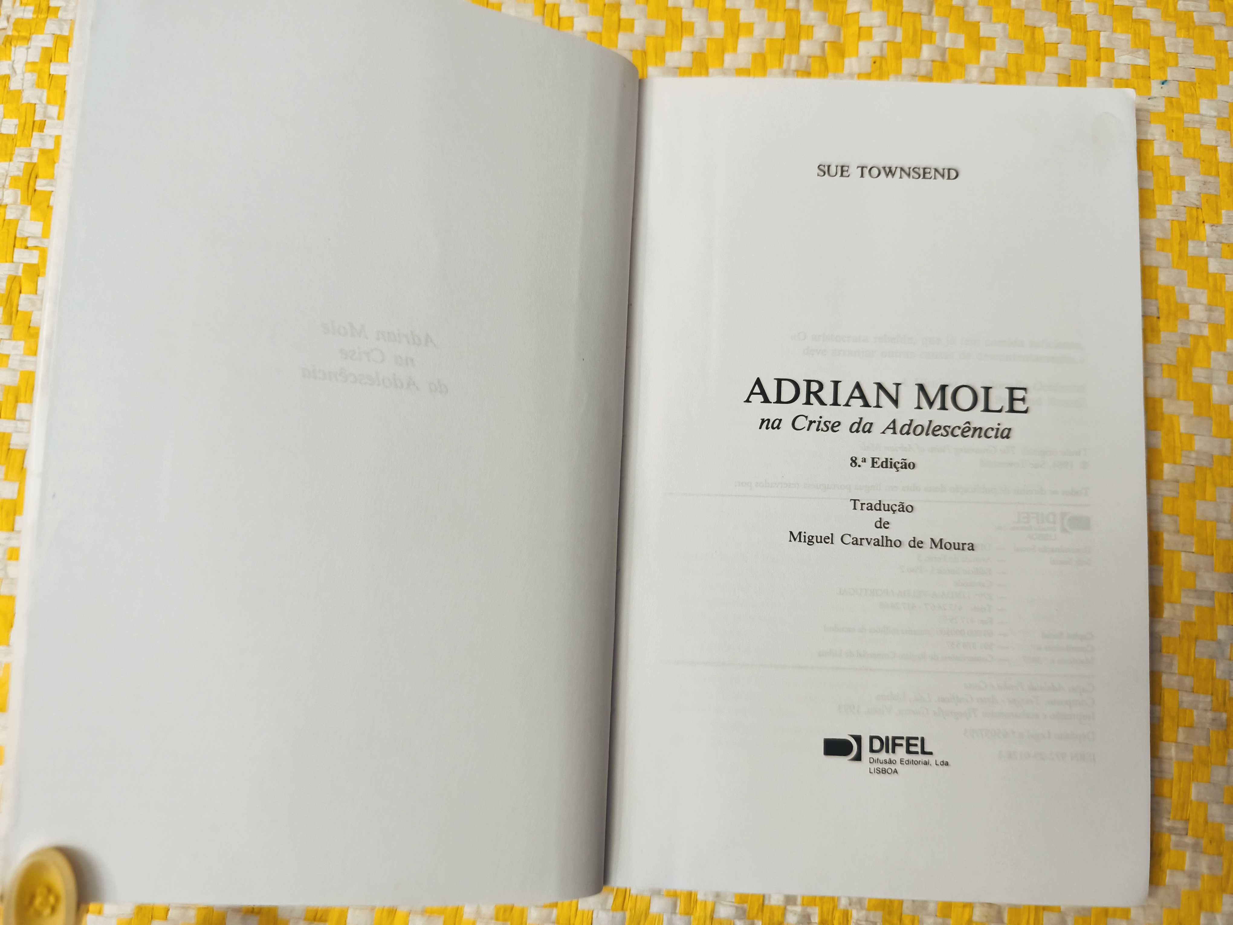 Adrian Mole na crise da adolescência – 
Sue Townserd