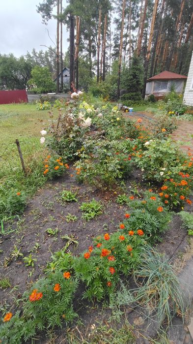 Продаж будинку у близкому пригороді!