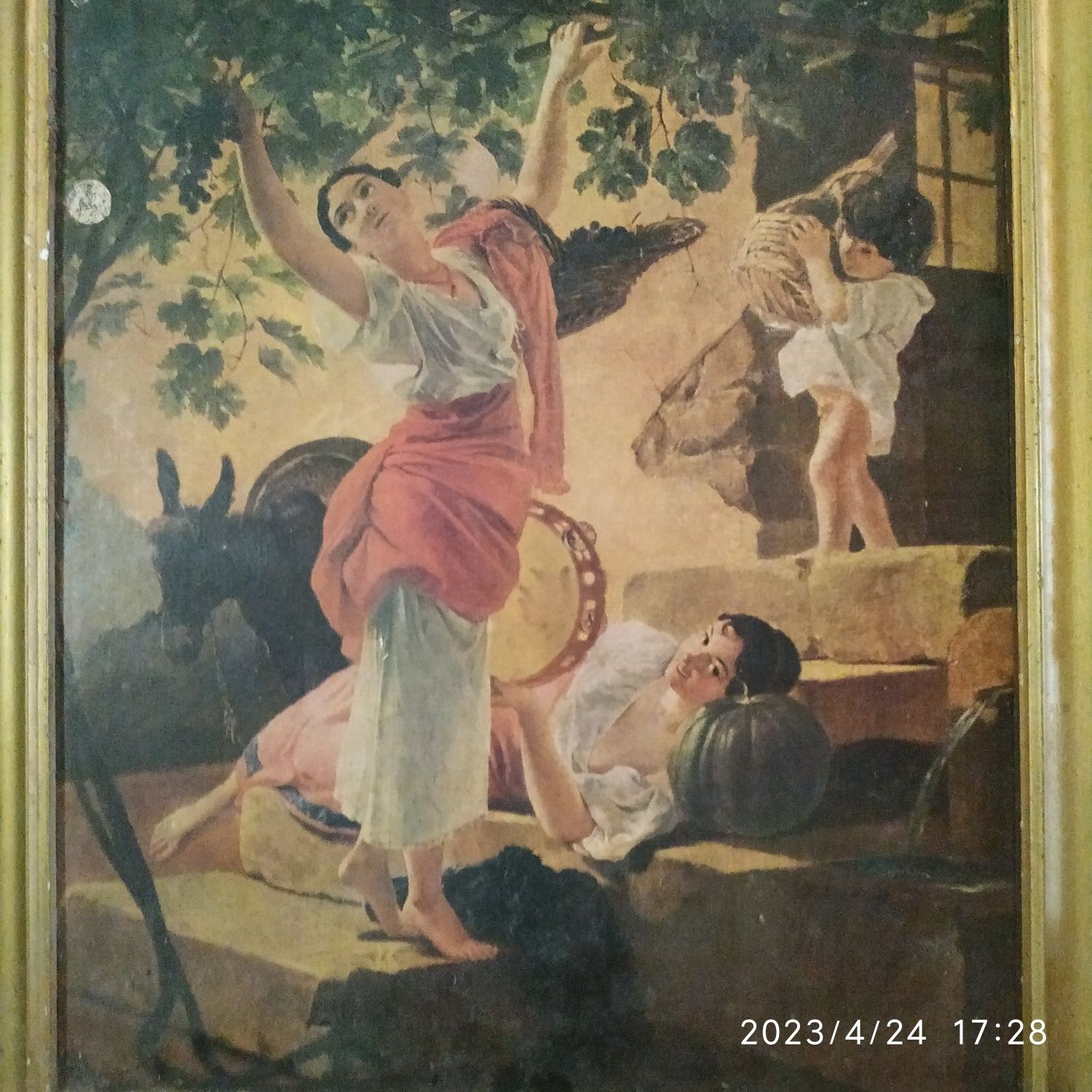 Картина "Девушка собирает виноград"
