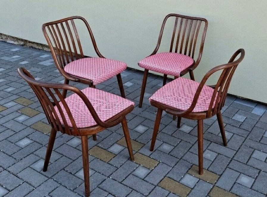 Krzesla Antonín Šuman Czechoslowacja