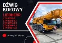 Usługi dźwigowe // Wynajem // Udźwig do 100 ton