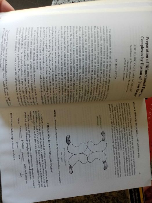 Enzyme Engineering 8 Annals Of The New York Academy Of Sciences 501