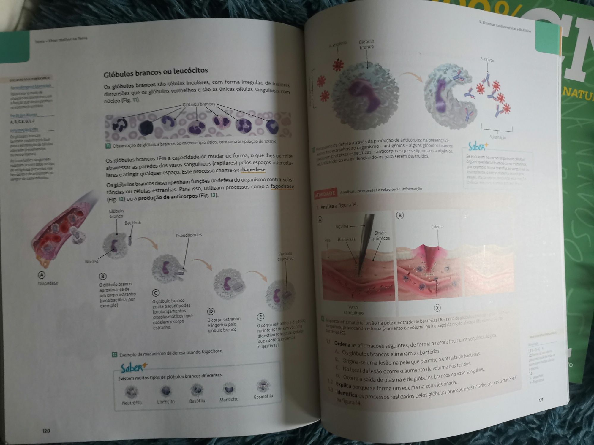 Manual novo de Ciências Naturais 9ano - 100% CN