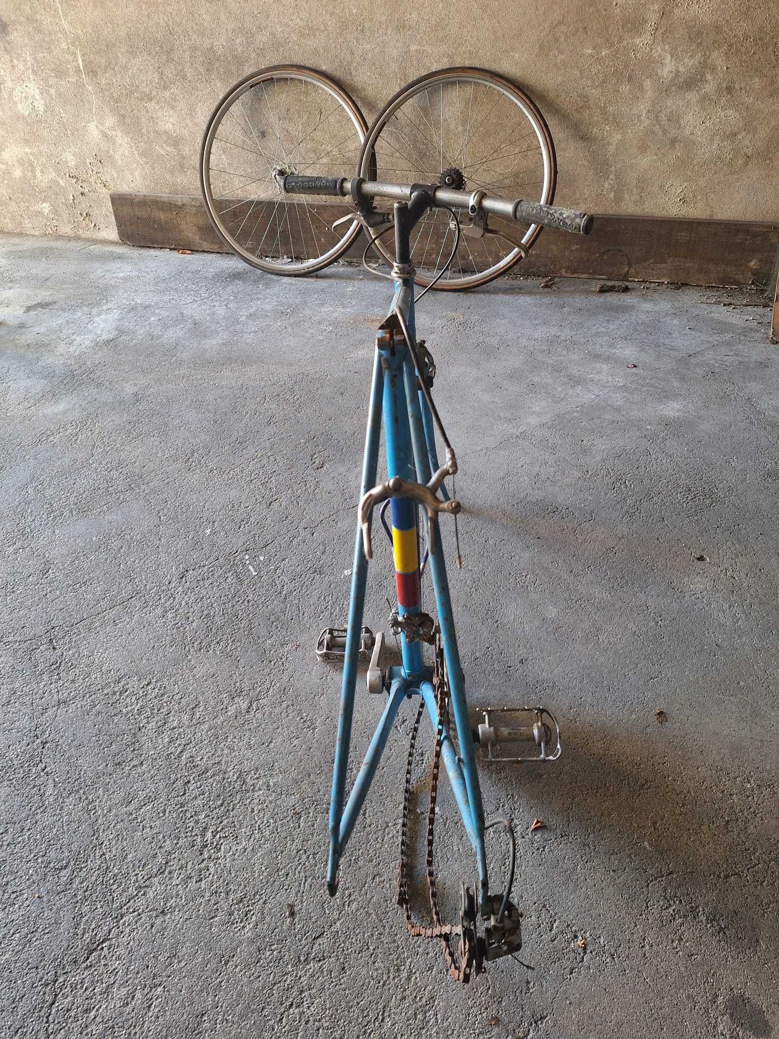 tonandorocha1965