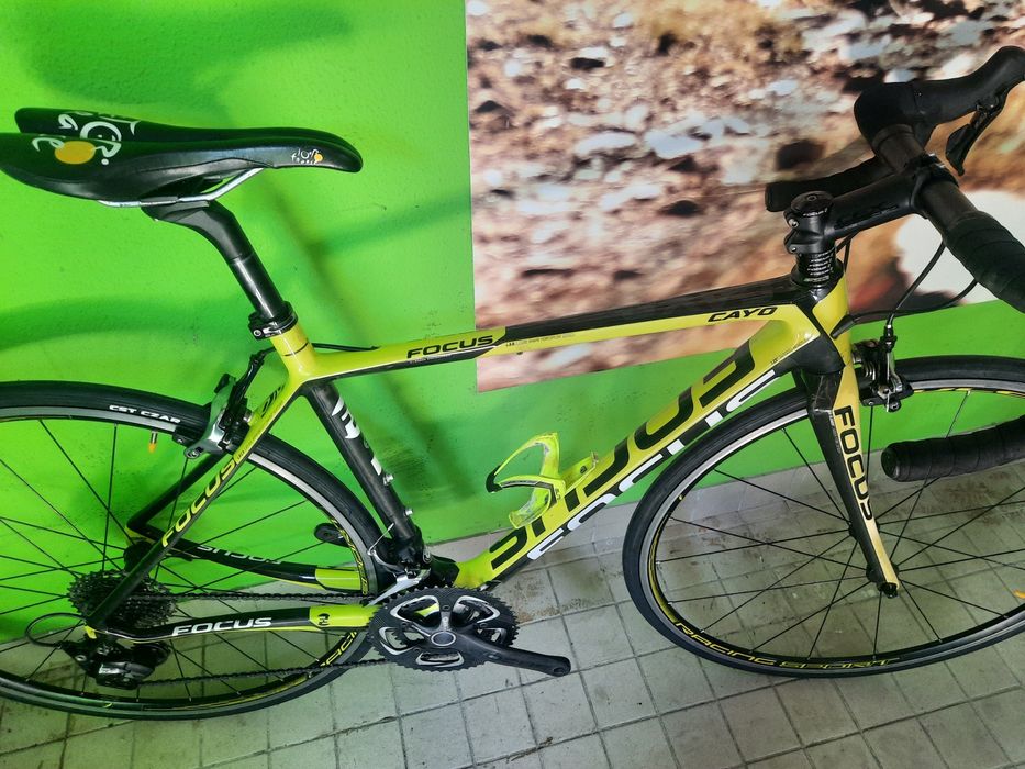 Focus carbono s 11x2v.
